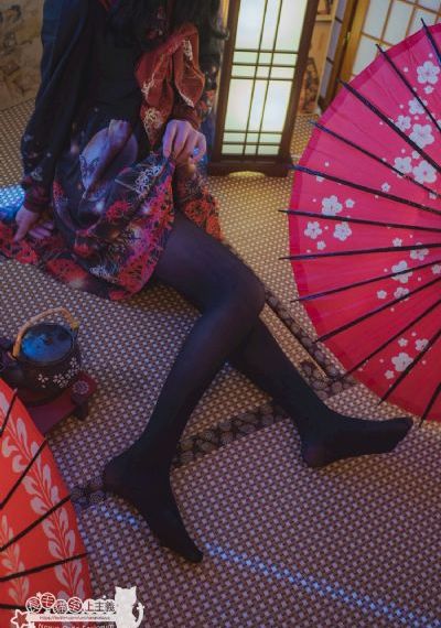 女人当家电视剧全集免费观看