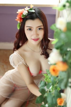 朴银狐在线观看