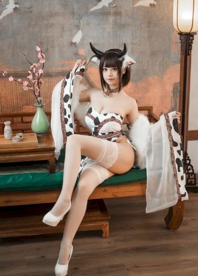 伊贺忍法帖