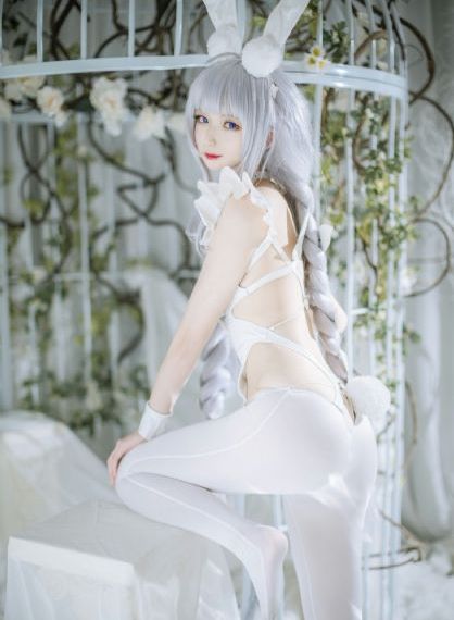 幻想森林电视剧在线观看